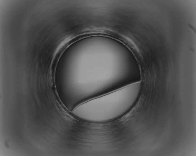X0000094911172200711290953