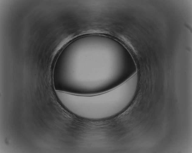X0000094911173200711290953