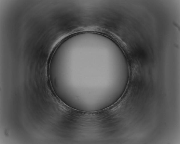 X0000094911174200711290953