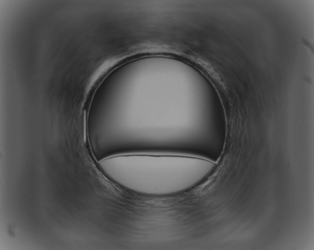 X0000094911175200711290953