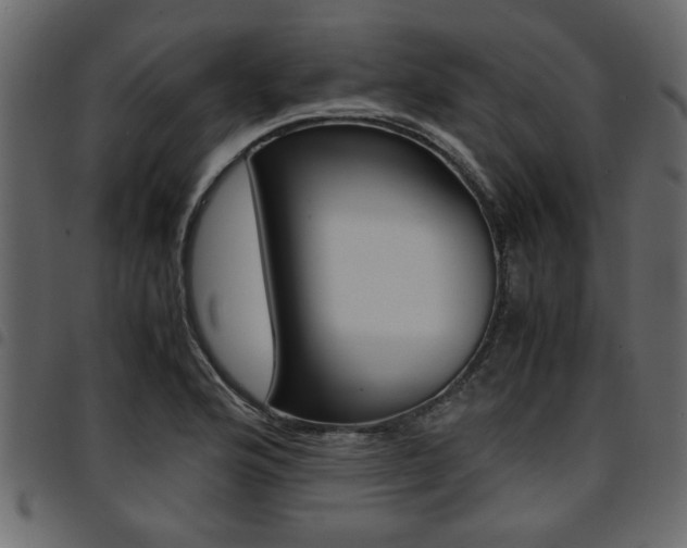 X0000094911176200711290953