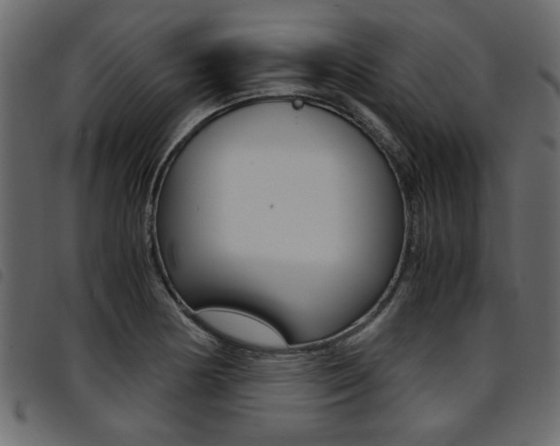 X0000094911178200711290953