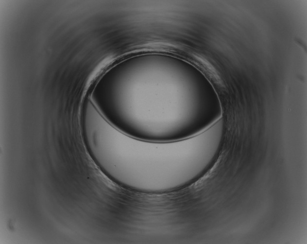 X0000094911180200711290953