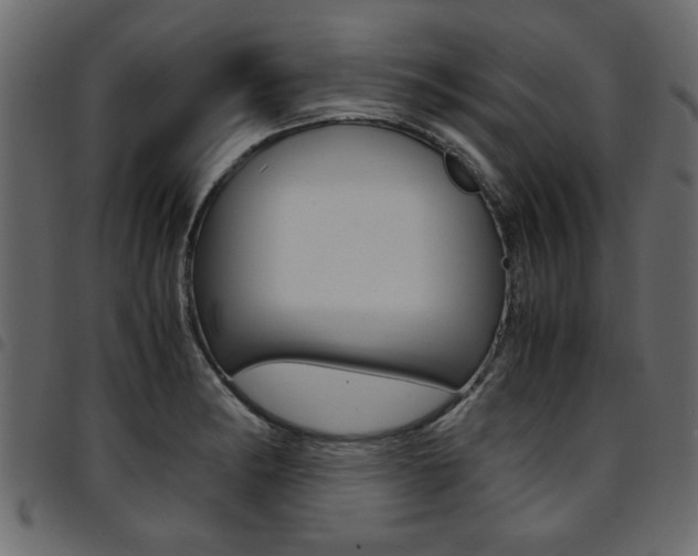 X0000094911182200711290953