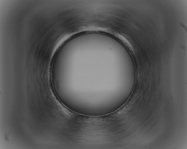 X0000094911183200711290953