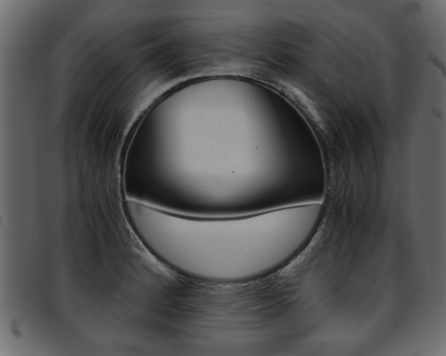 X0000094911184200711290953