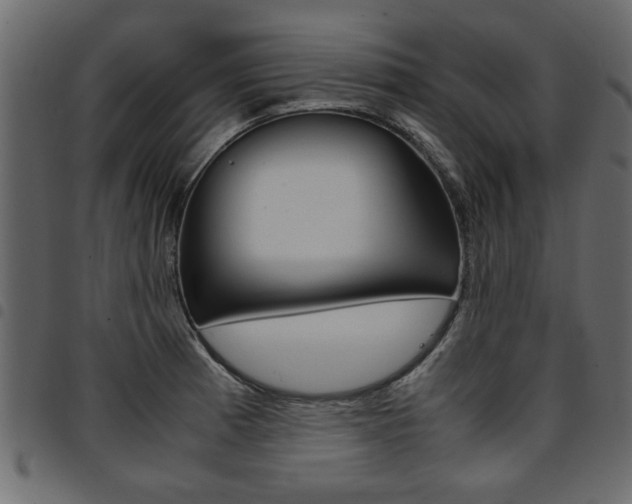X0000094911185200711290953