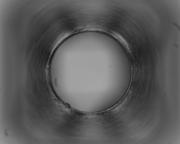 X0000094911190200711290953