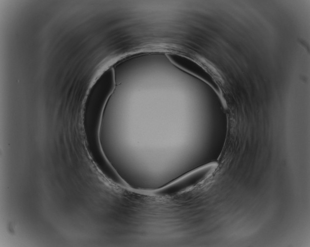 X0000094911192200711290953