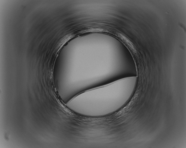 X0000094911193200711290953
