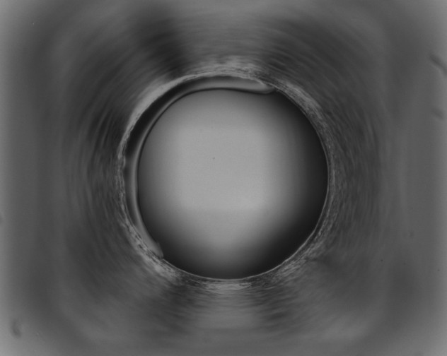X0000094911200200711290953
