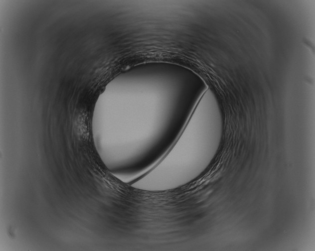 X0000094911202200711290952