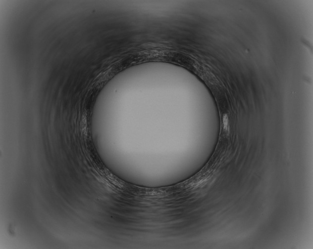 X0000094911203200711290952