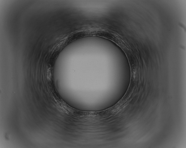 X0000094911204200711290952