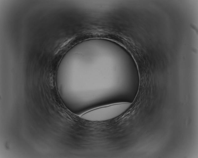 X0000094911205200711290952