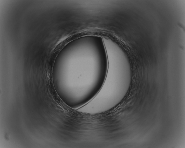 X0000094911206200711290952