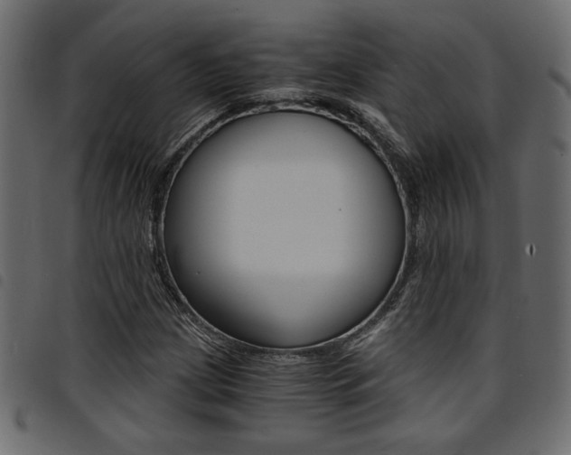 X0000094911209200711290952