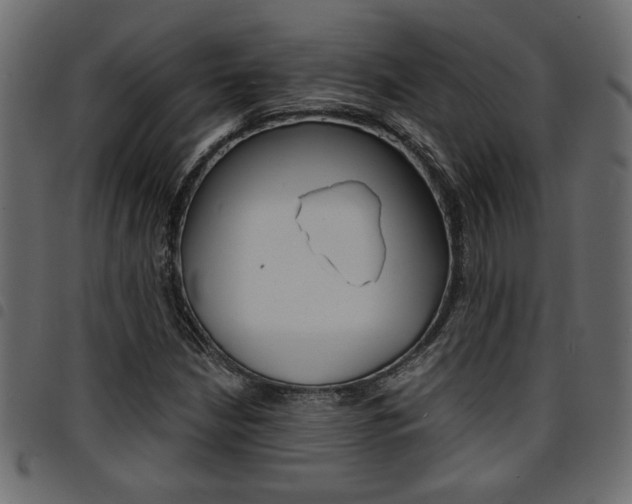 X0000094911210200711290952
