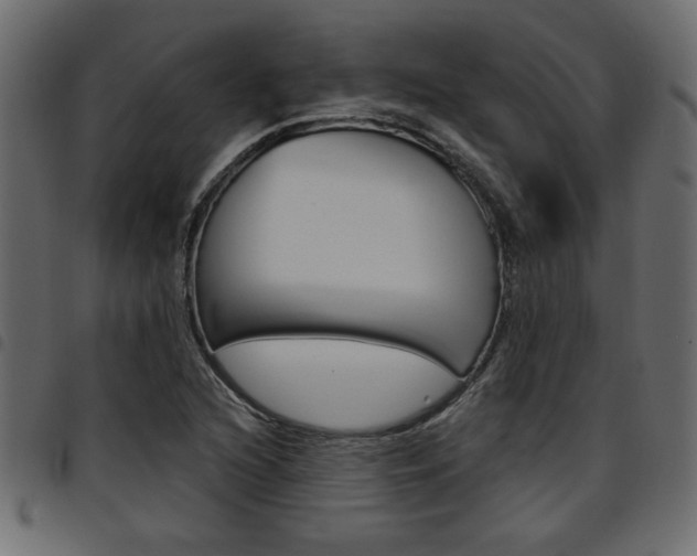 X0000094911216200711290952