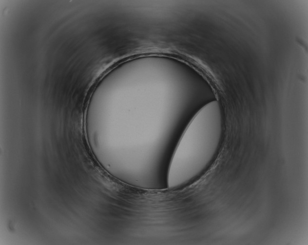 X0000094911220200711290952