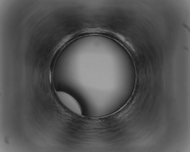 X0000094911221200711290952