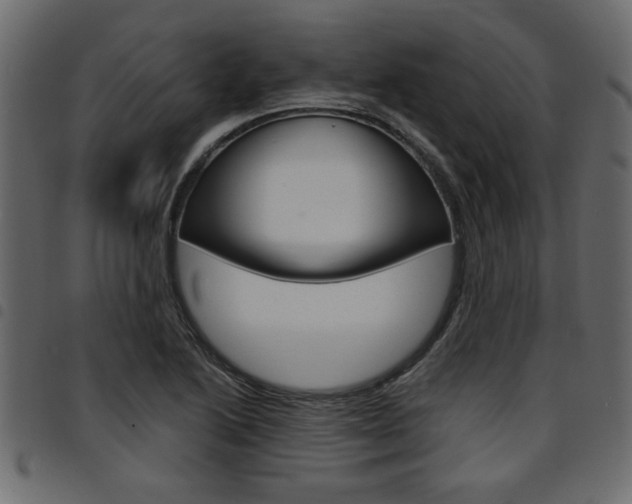 X0000094911222200711290952