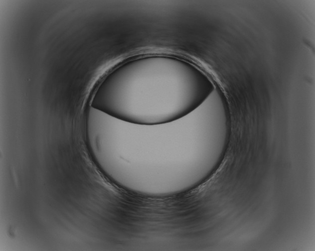 X0000094911223200711290952