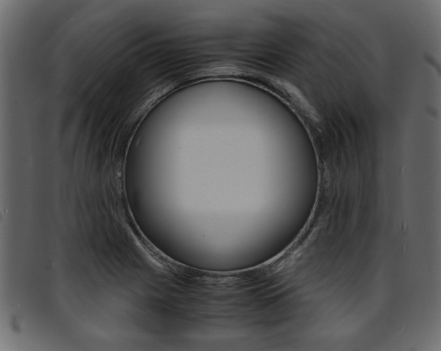 X0000094911225200711290952