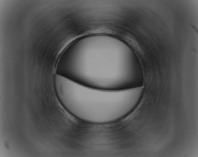 X0000094911228200711290952