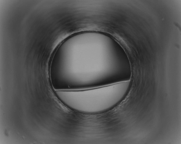 X0000094911230200711290952