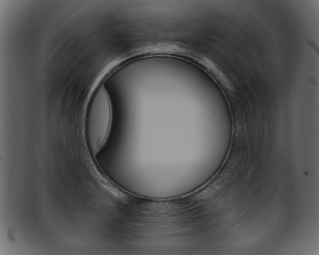 X0000094911232200711290952