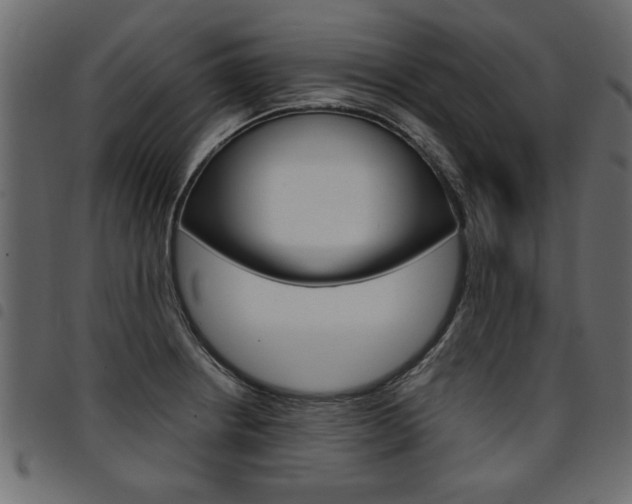 X0000094911234200711290952