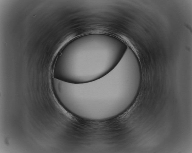 X0000094911235200711290952