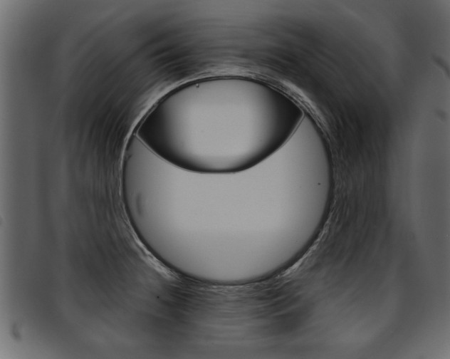 X0000094911236200711290952