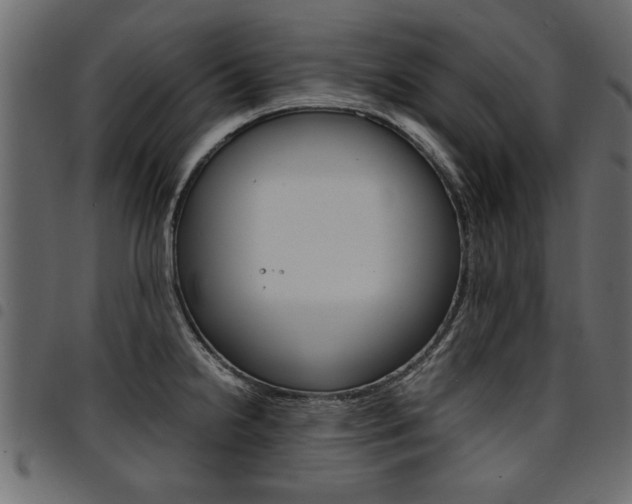 X0000094911238200711290952