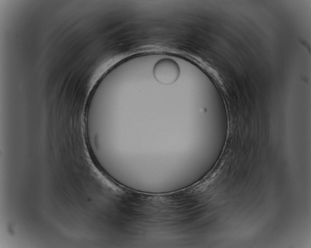 X0000094911239200711290952