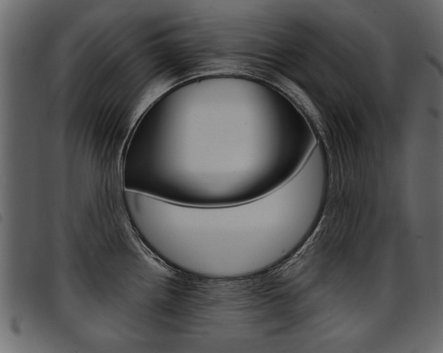 X0000094911242200711290952
