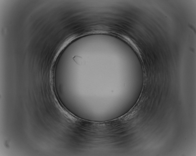 X0000094911243200711290952