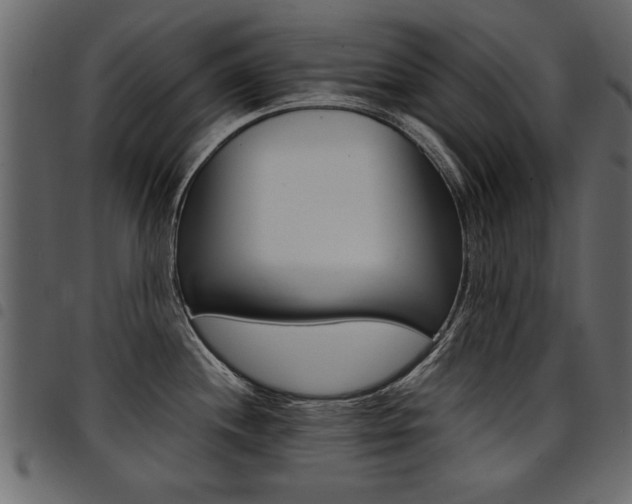 X0000094911244200711290952