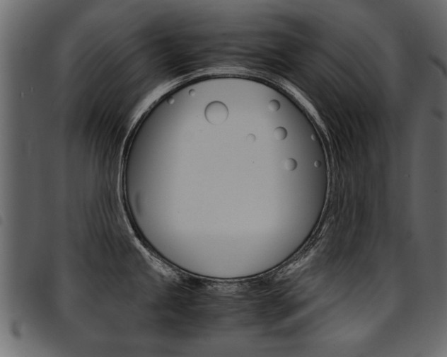 X0000094911245200711290952