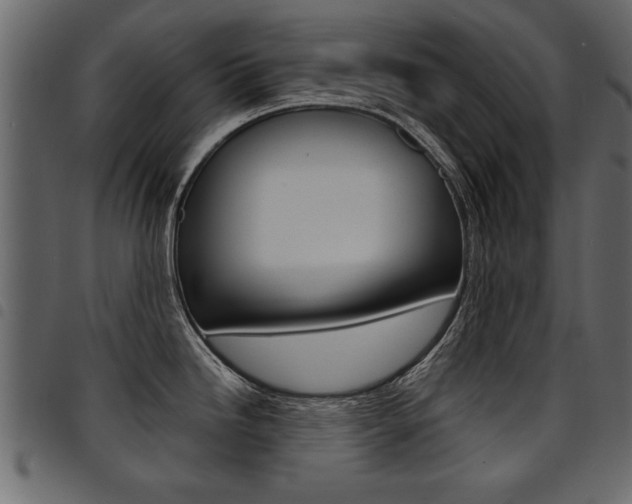 X0000094911246200711290952