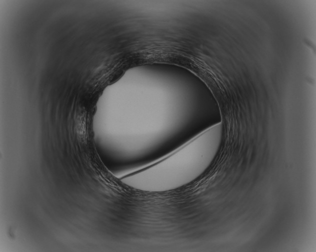 X0000094911250200711290952