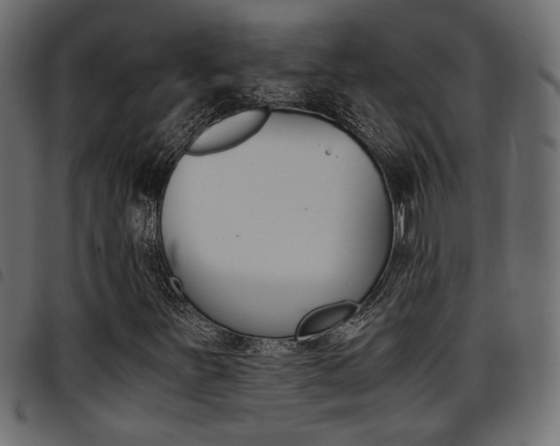 X0000094911251200711290952