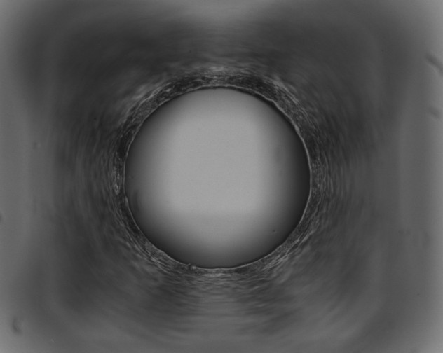 X0000094911253200711290952