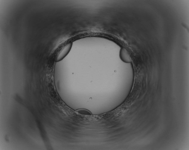 X0000094911255200711290952
