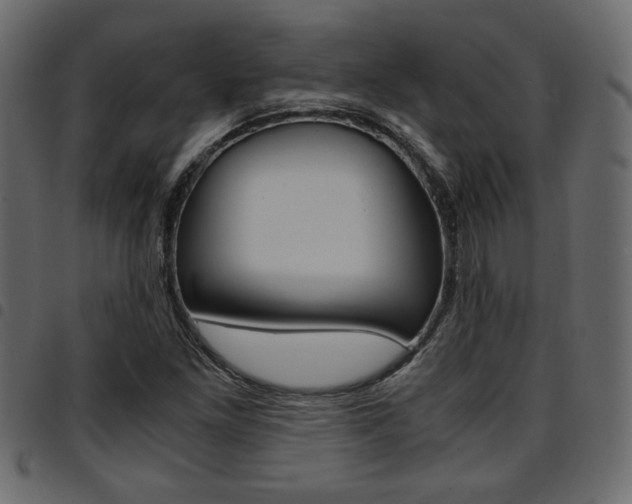 X0000094911261200711290952