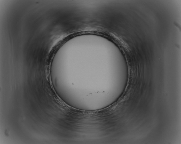 X0000094911262200711290952