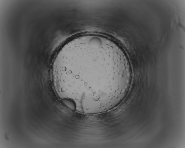 X0000094911263200711290952