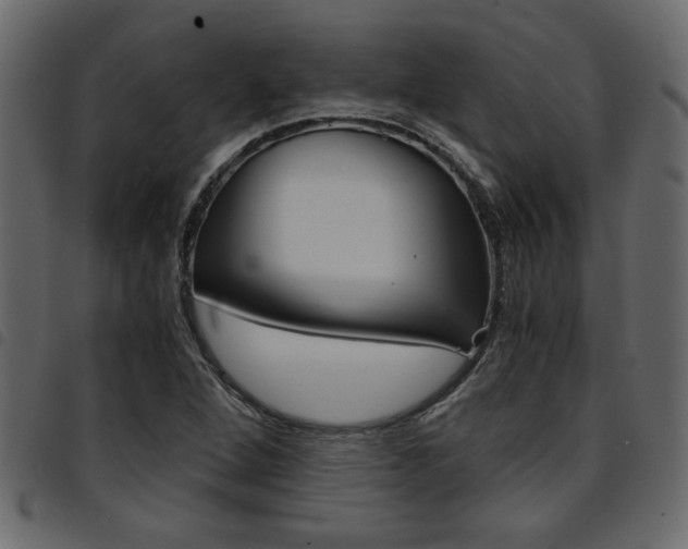 X0000094911264200711290952