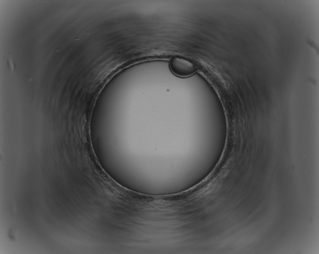 X0000094911265200711290952